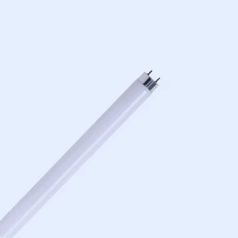 T8 Fluorescent Tube