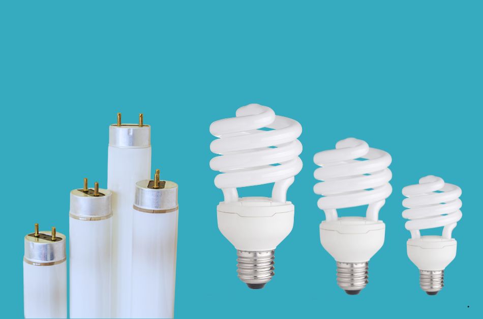 Types of Fluorescent Bulbs and Tubes
